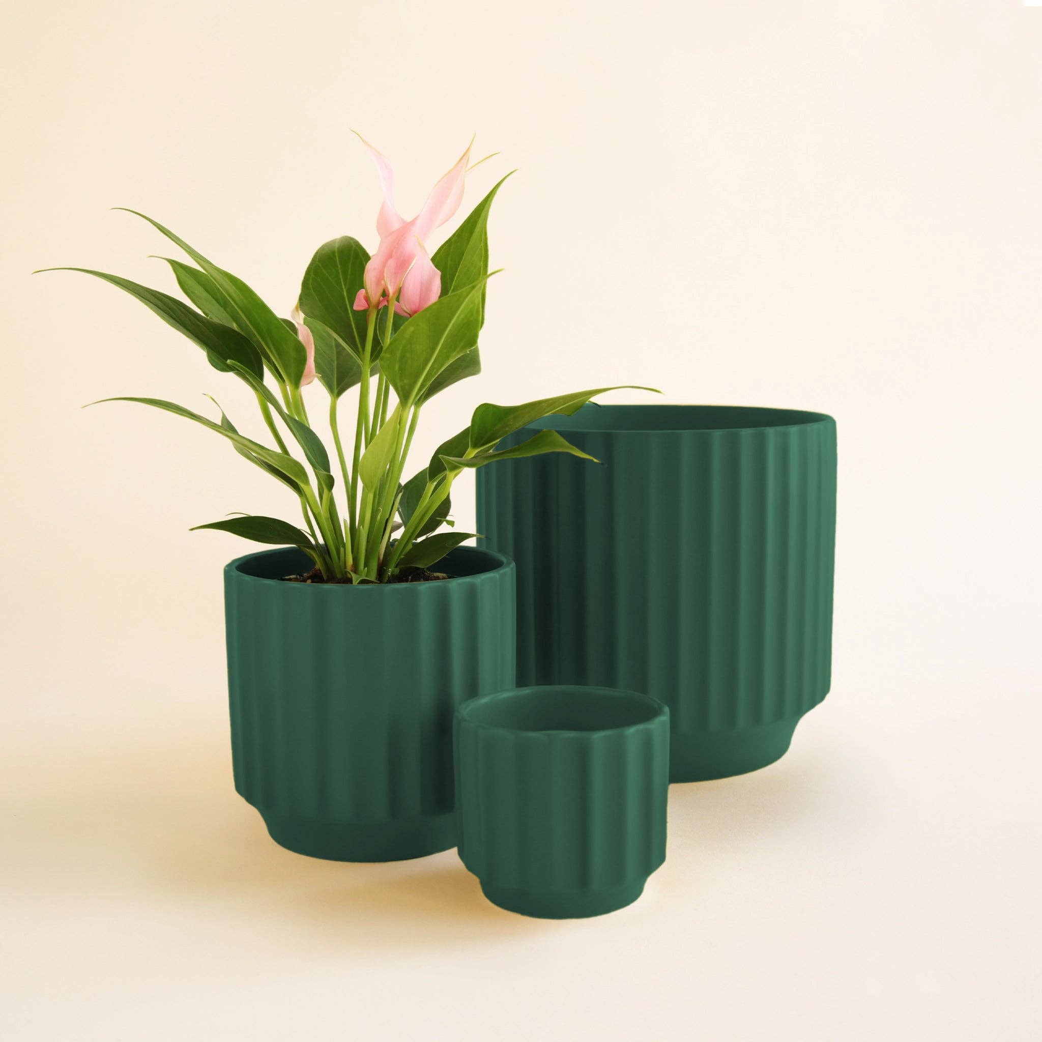 monroe planter shop now at flower + furbish