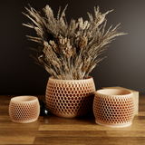 honeycomb planter