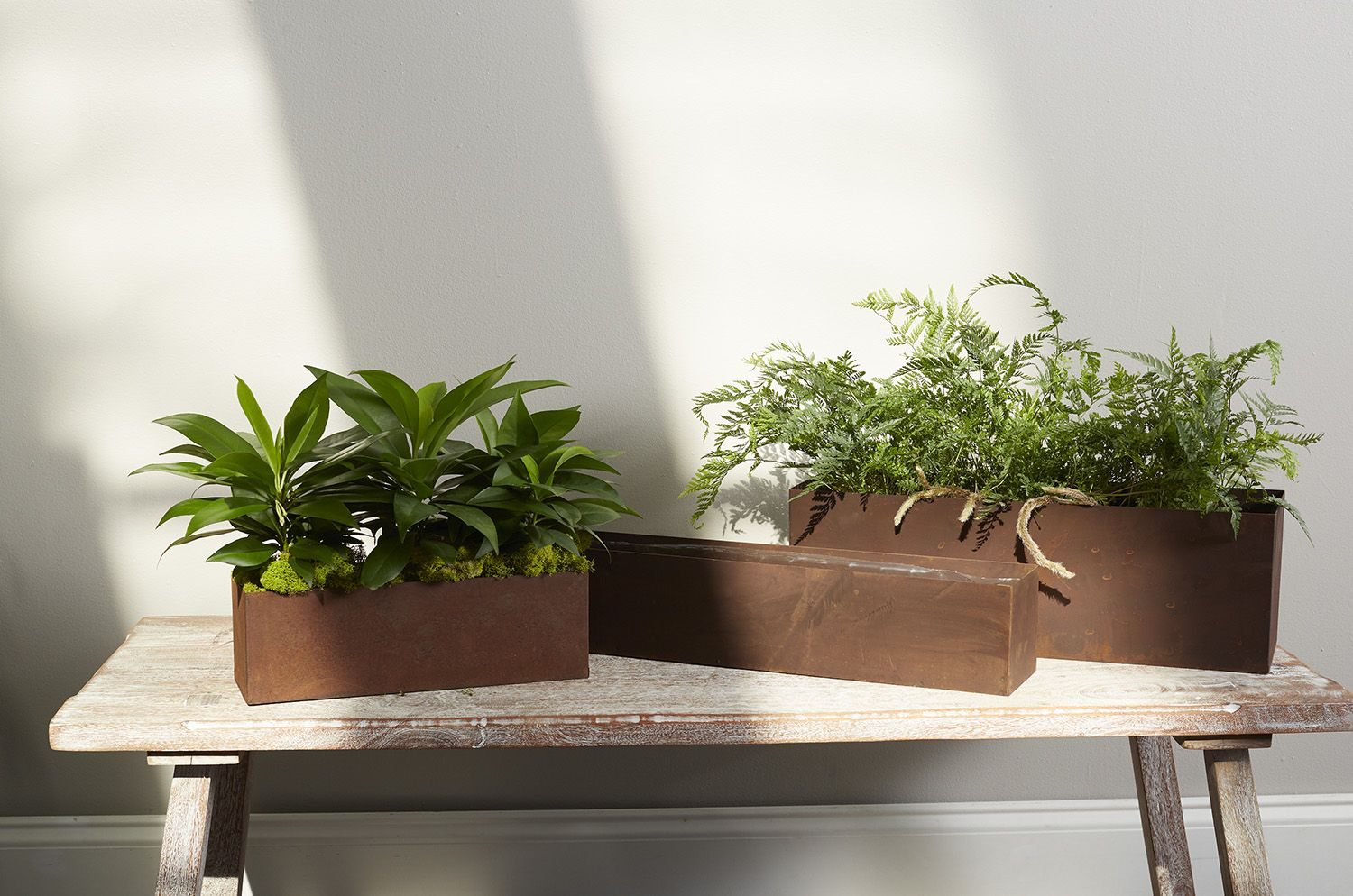 galvanized planter planter from flower + furbish Shop now at flower + furbish
