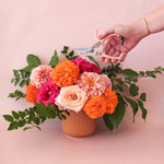 lucy pot shop now at flower + furbish3 inch, 4 inch, 5 inch, 6 inch, 7 inch