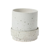 claxton pot with saucer shop now at flower + furbish