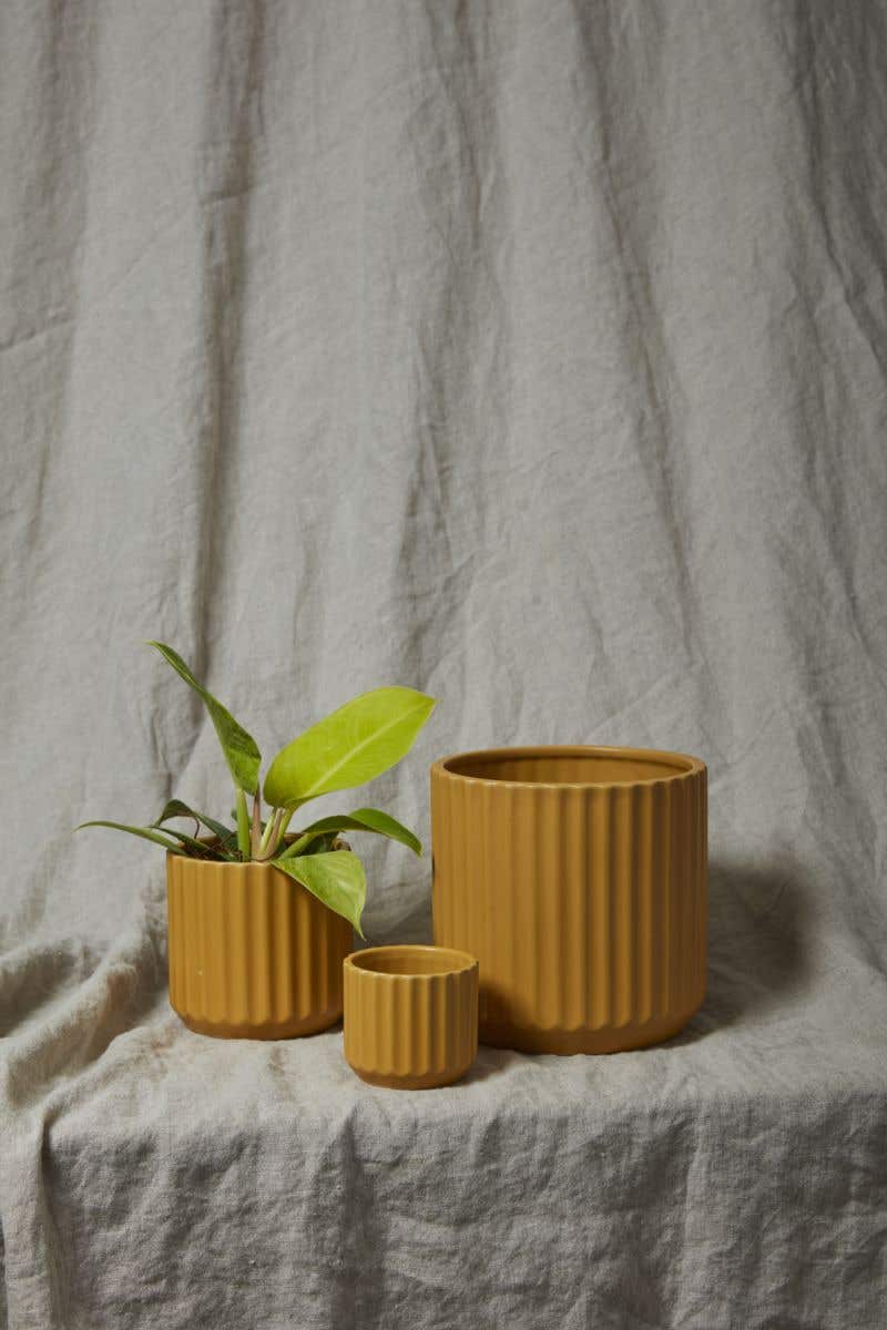 beam pot pot from flower + furbish Shop now at flower + furbish