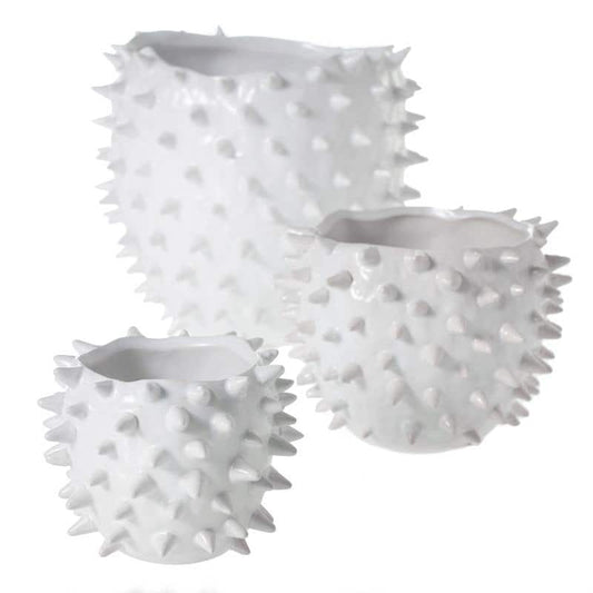 cacti pot plant pot from flower + furbish Shop now at flower + furbish