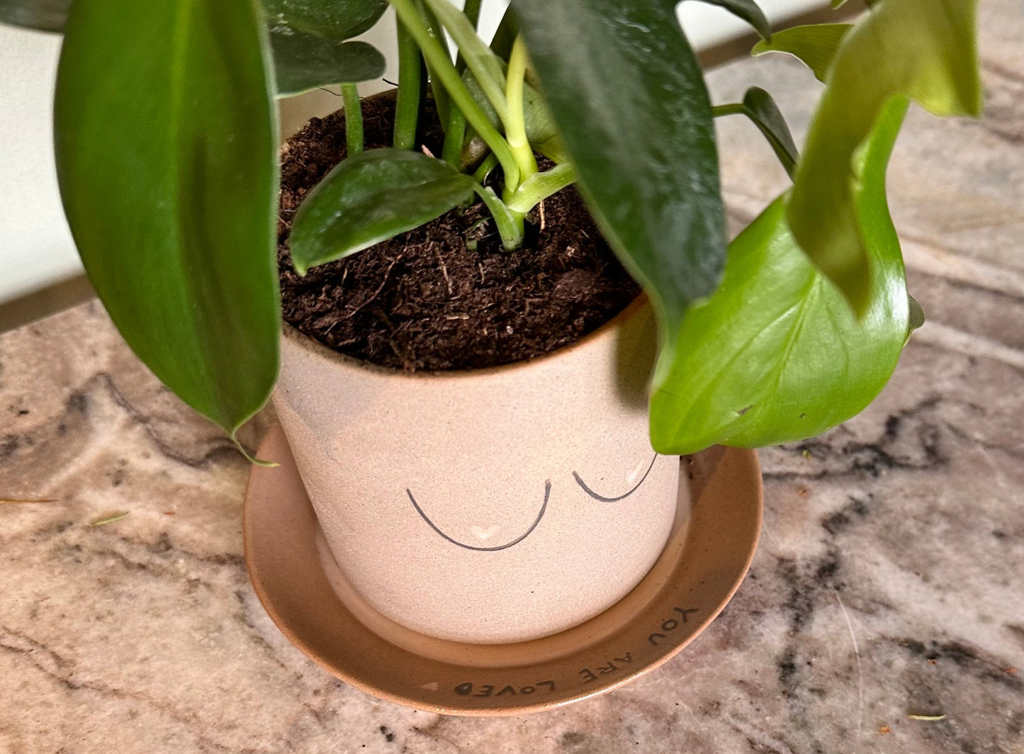 luv u potted plant from flower + furbish Shop now at flower + furbish