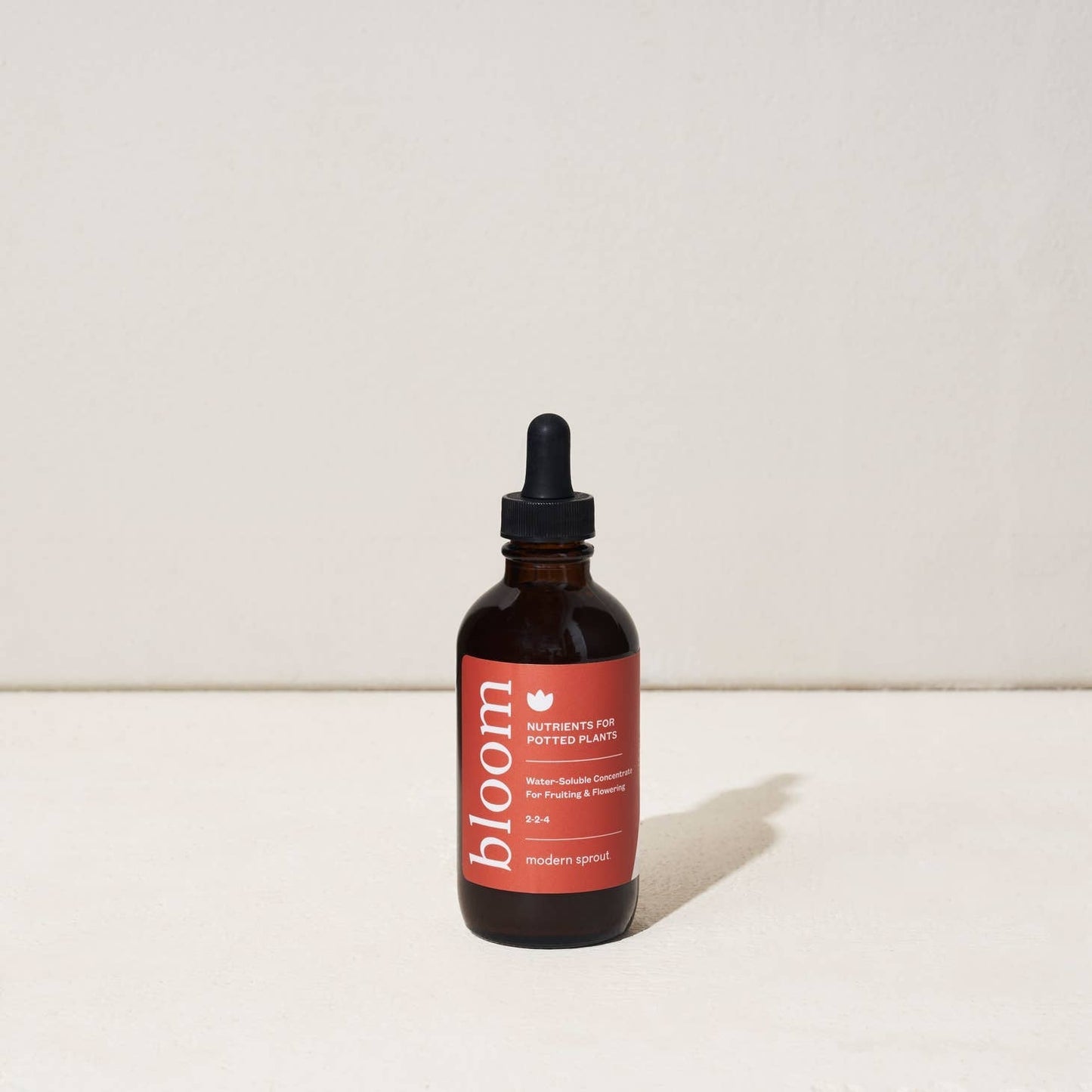 modern sprout plant nutrient  from flower + furbish Shop now at flower + furbish