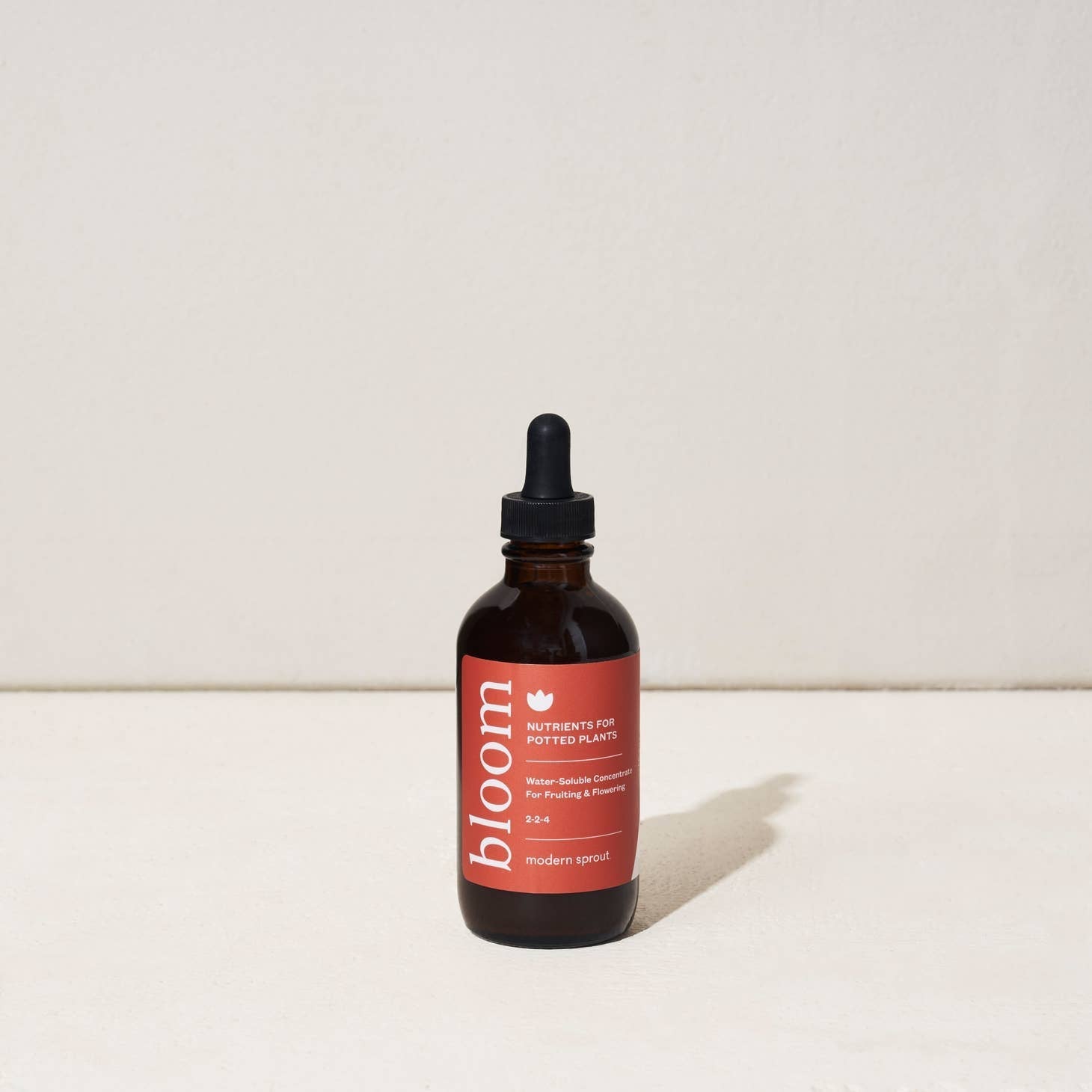 modern sprout plant nutrient  from flower + furbish Shop now at flower + furbish