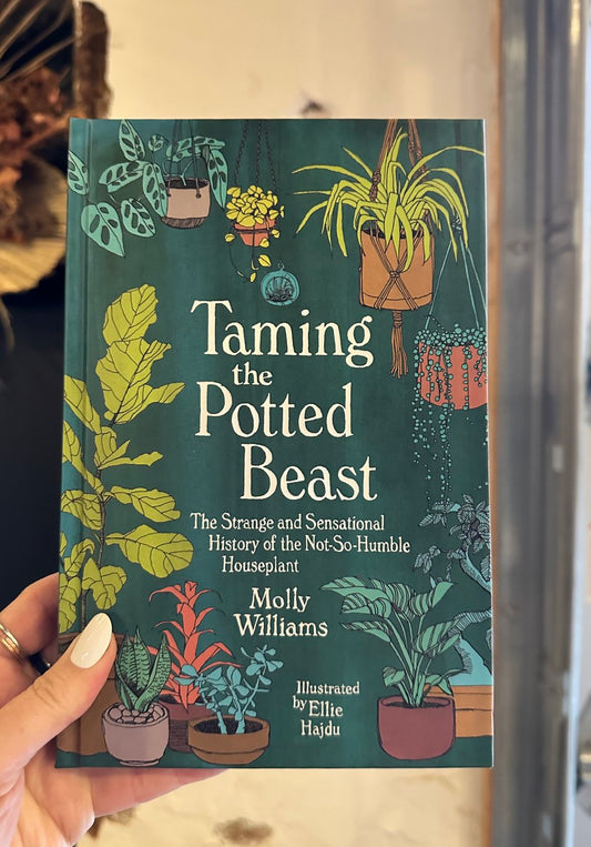 taming the potted beast: the strange and sensational history of the not-so-humble houseplant  from flower + furbish Shop now at flower + furbish