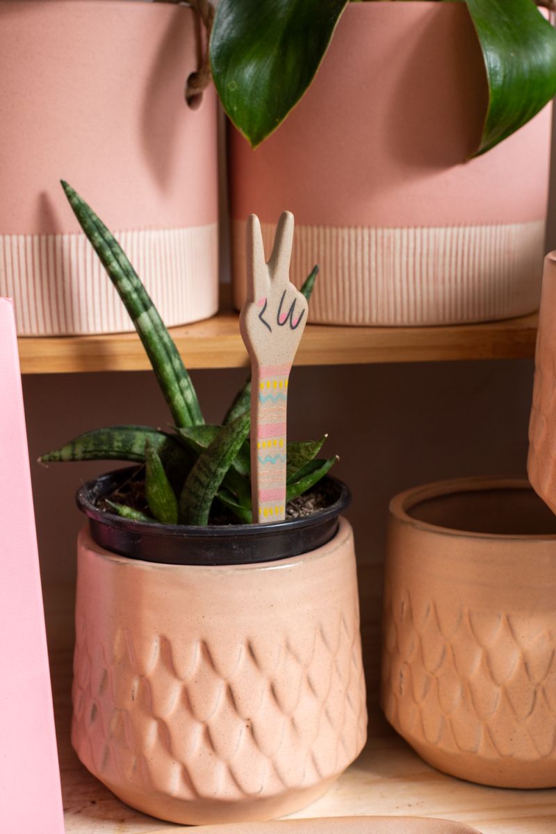 peace plant stick plant stick from flower + furbish Shop now at flower + furbish