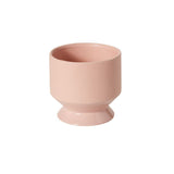 pasadena pot shop now at flower + furbishplant, plant pot, Pot, shipping, terra cotta