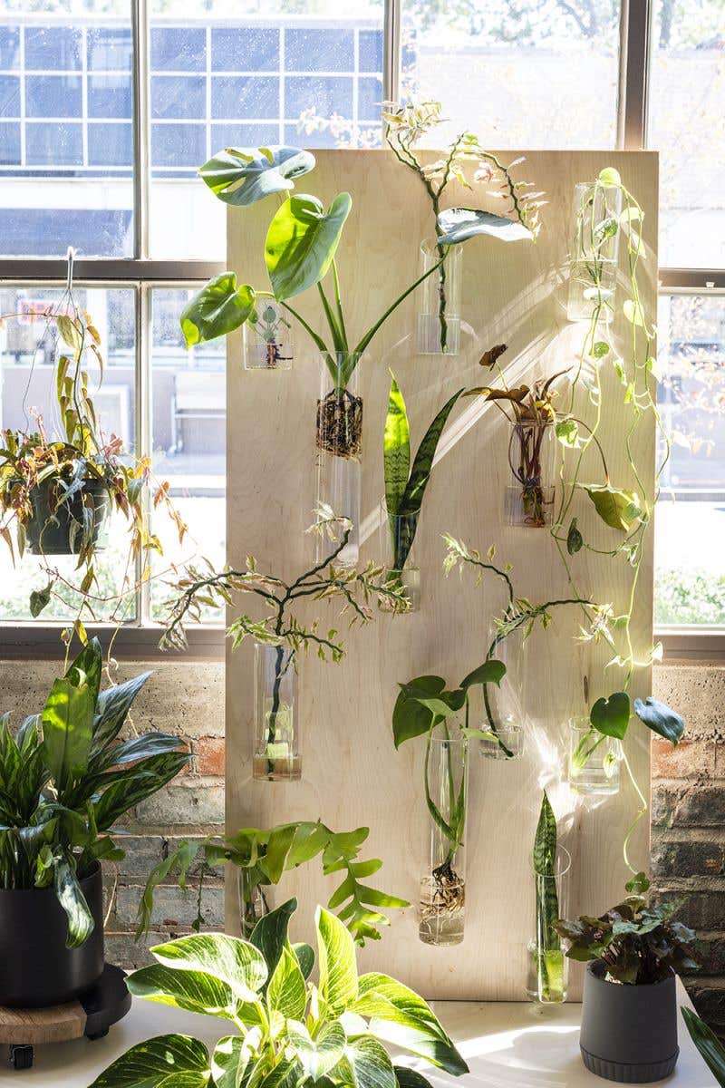 eliza vase shop now at flower + furbishshipping, vase, vessel