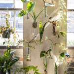 eliza vase shop now at flower + furbishshipping, vase, vessel