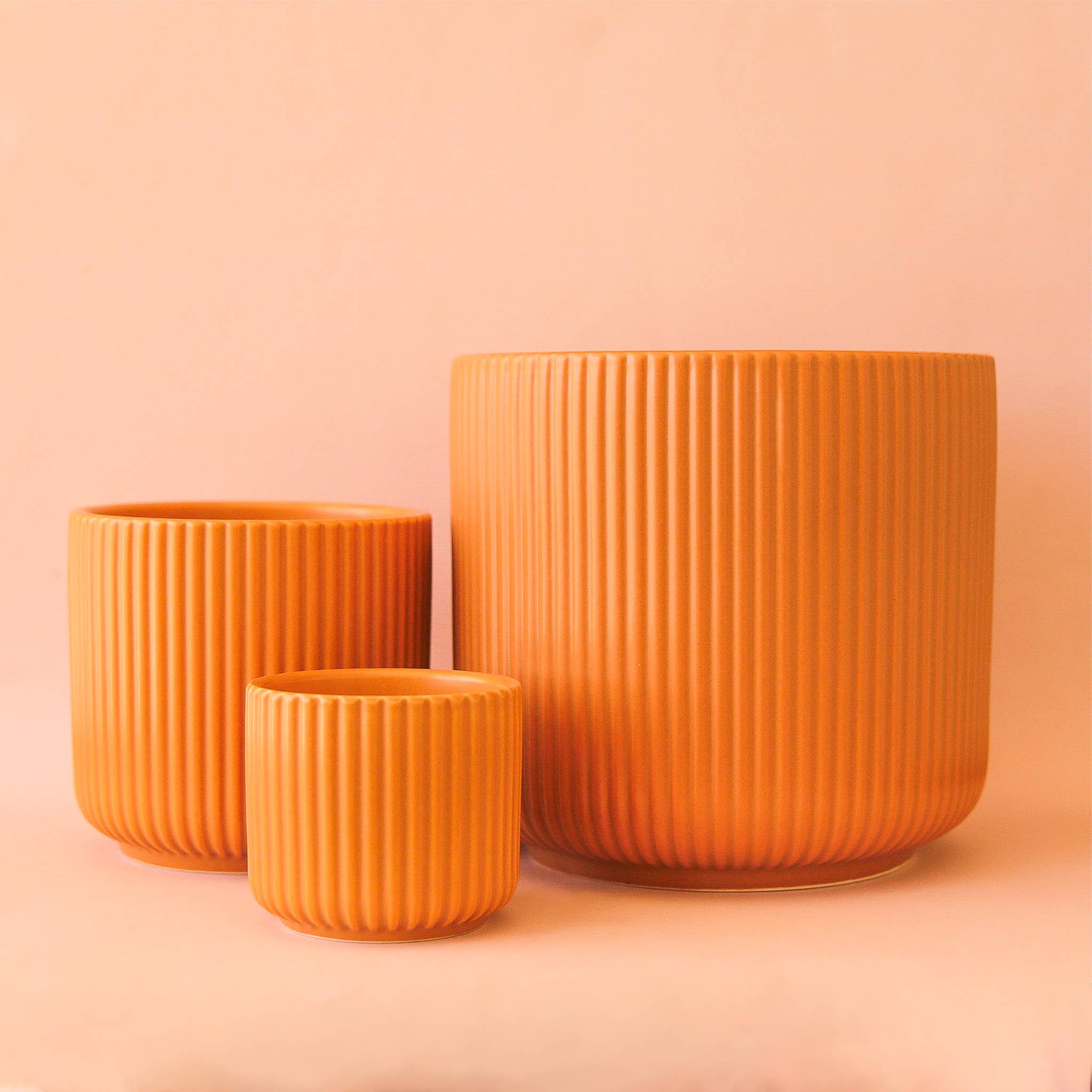 lucy pot shop now at flower + furbish3 inch, 4 inch, 5 inch, 6 inch, 7 inch