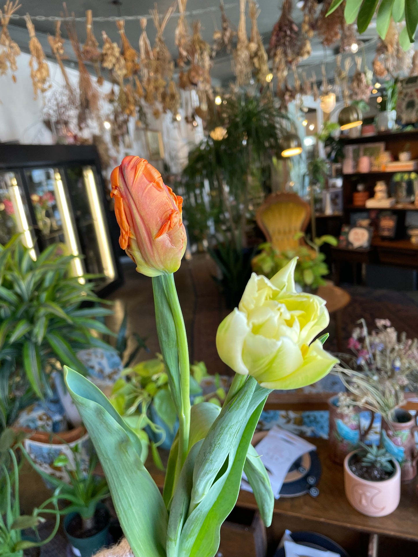 10 stem tulip lane bouquet Tulip from flower + furbish Shop now at flower + furbish