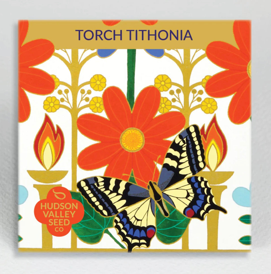 hudson valley torch tithonia seeds seed from flower + furbish Shop now at flower + furbish