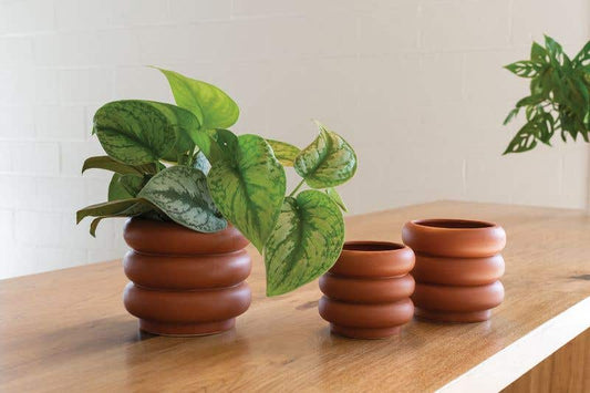 motley pot plant pot from flower + furbish Shop now at flower + furbish