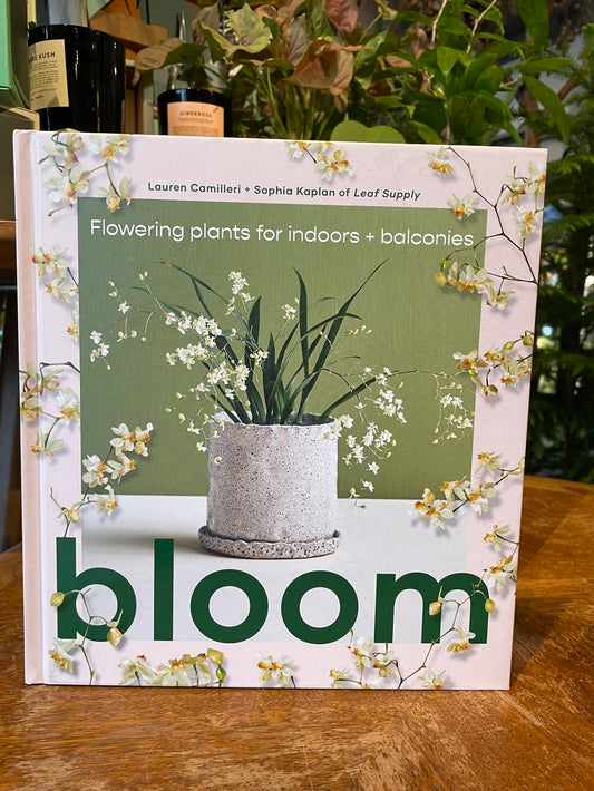 bloom: flowering plants for indoors and balconies book from flower + furbish Shop now at flower + furbish