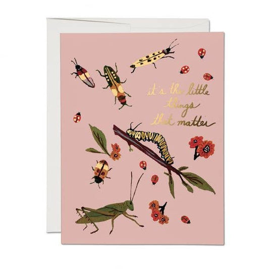 little bugs blank card card from flower + furbish Shop now at flower + furbish