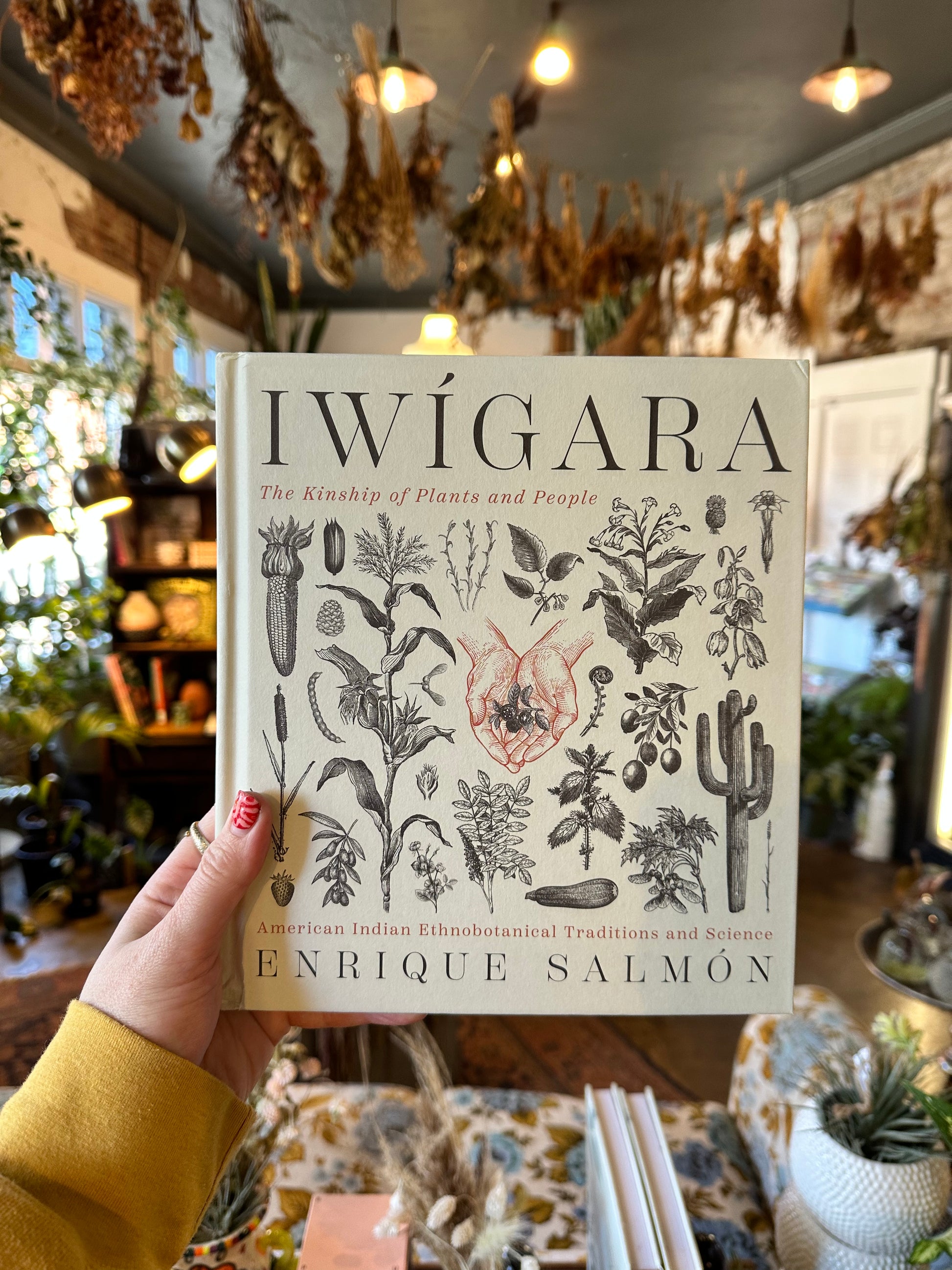 iwigara: american indian ethnobotanical traditions and science  from flower + furbish Shop now at flower + furbish