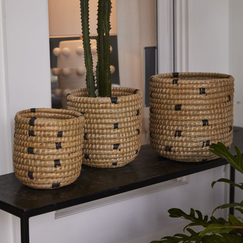 tejida basket shop now at flower + furbishbasket, plant, plant pot, Pot, shipping