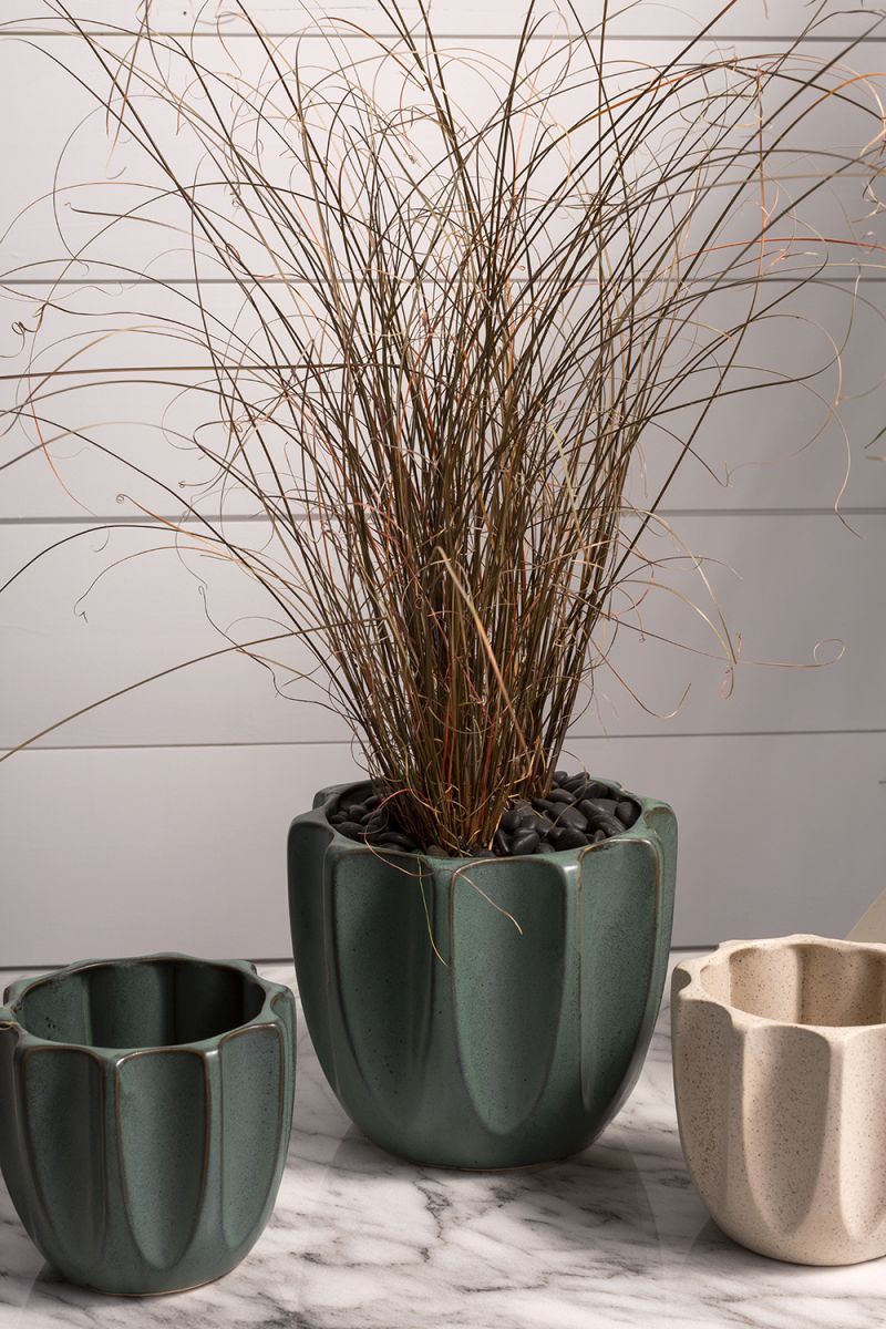 beaumont pot pot from flower + furbish Shop now at flower + furbish
