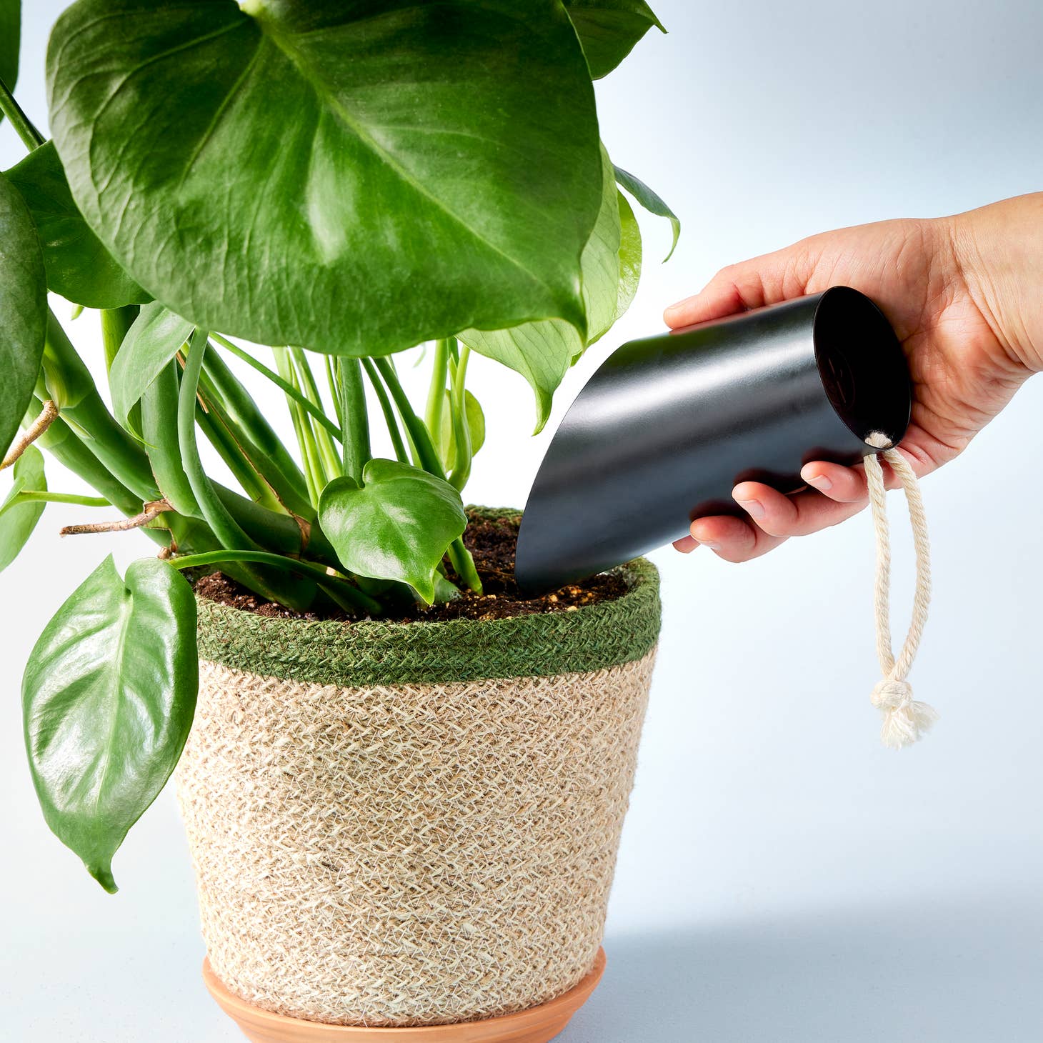 modern sprout soil scoop  from flower + furbish Shop now at flower + furbish