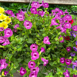 hanging basket shop now at flower + furbish