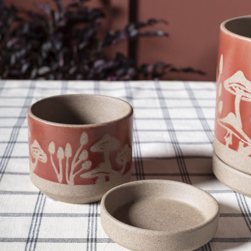 scavenger pot shop now at flower + furbish1 inch, 2 inch, 3 inch, 4 inch, 5 inch, gift, plant pot, Pot, shipping