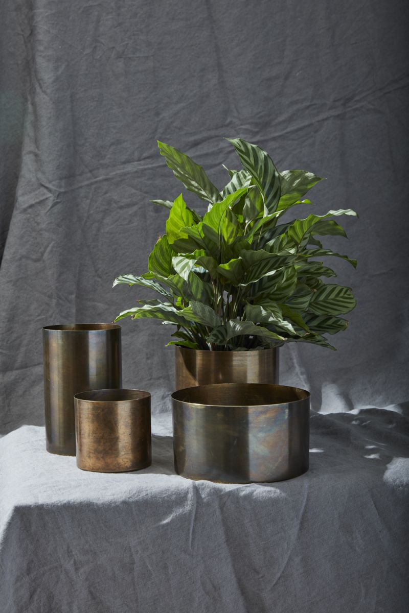 lincoln pot plant pot from flower + furbish Shop now at flower + furbish