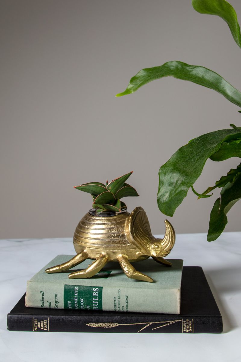 golden scarab pot pot from flower + furbish Shop now at flower + furbish