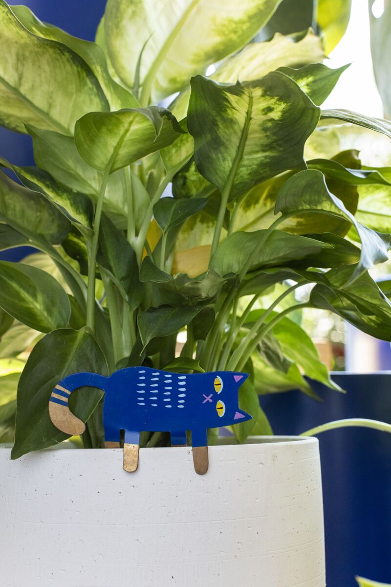 kitty plant pal plant stick from flower + furbish Shop now at flower + furbish