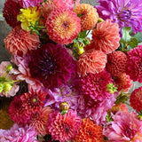 dahlia days for STAY wrapped bouquet