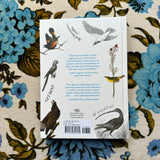 effin' birds: a field guide to identification