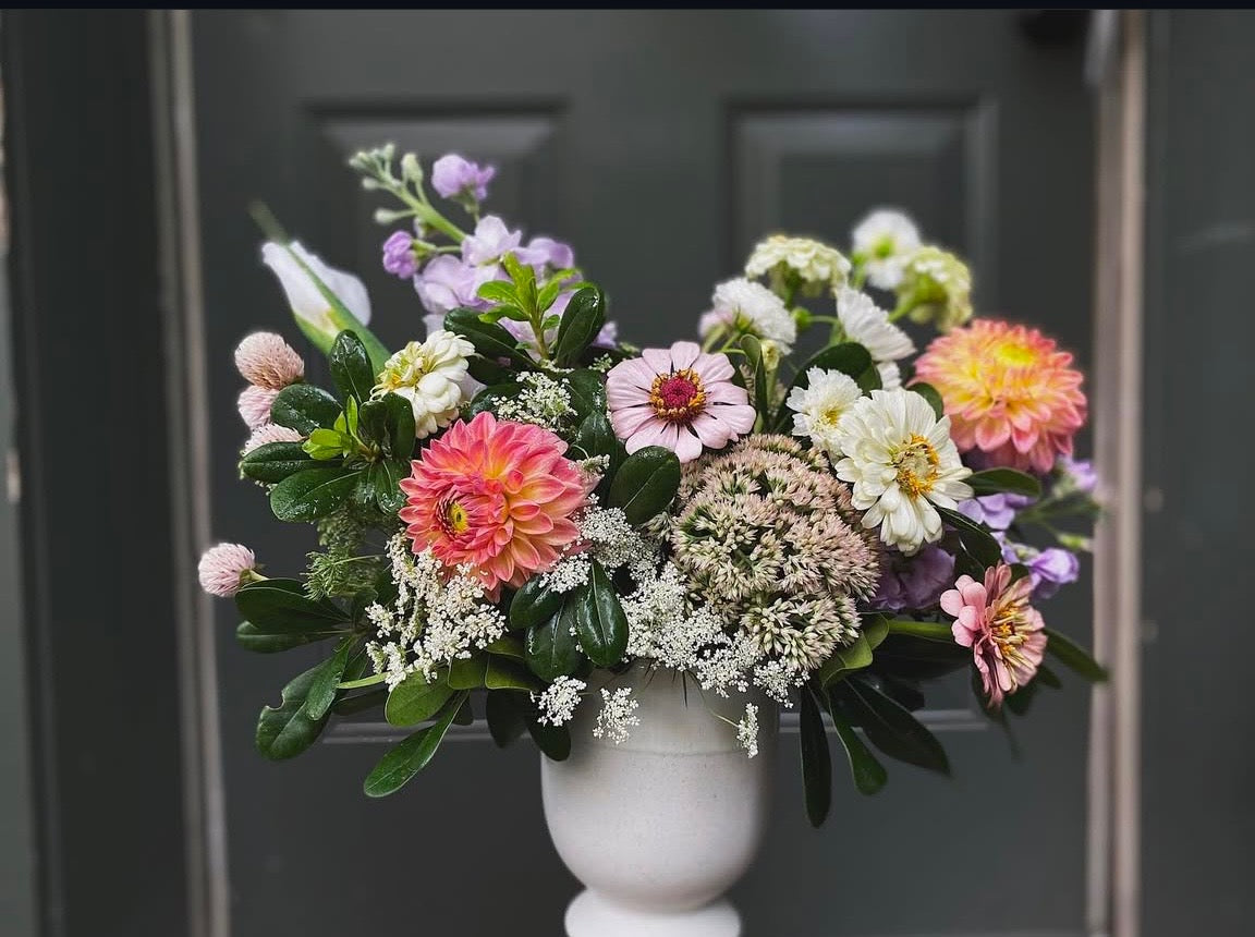 designer’s choice seasonal arrangement shop now at flower + furbishanniversary, birthday, celebration, congrats, congratulations, encouragement, floral arrangement, Flowers, fresh flower, friendship, Get well, Gift, Holiday, just because, love, mom, new baby, Seasonal, sympathy, thank you, vase, vased arrangement