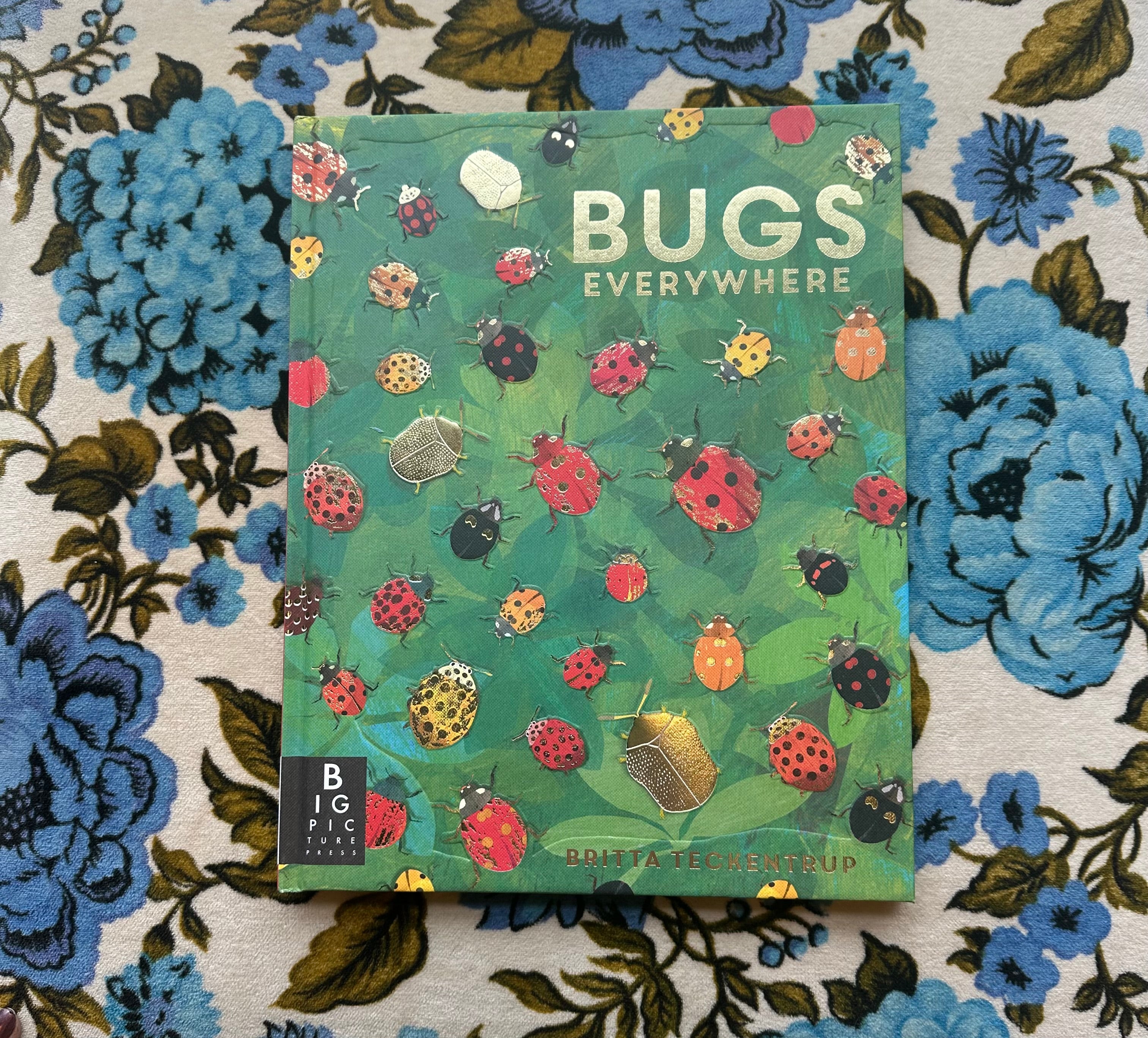 bugs everywhere shop now at flower + furbishBook, Children’s book, Gift, shipping
