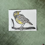 meadow lark print shop now at flower + furbishlife on mars, marlee, print, shipping
