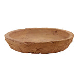 rustic terra cotta rose pot with saucer