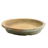 rustic terra cotta rose pot with saucer