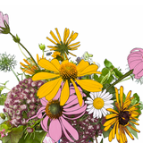 flower explosion sticker