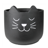 cat pot