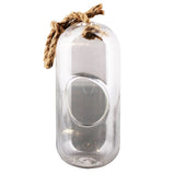sole hanging glass terrarium