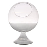 sole round glass terrarium