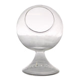 sole round glass terrarium