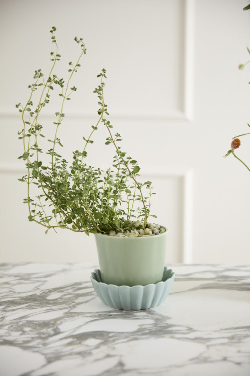 springvale pot shop now at flower + furbish3 inch, 4 inch, 5 inch, 6 inch, 7 inch, Gift, plant pot, Planter, Pot, shipping, vessel