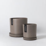 signature planter with saucer shop now at flower + furbish