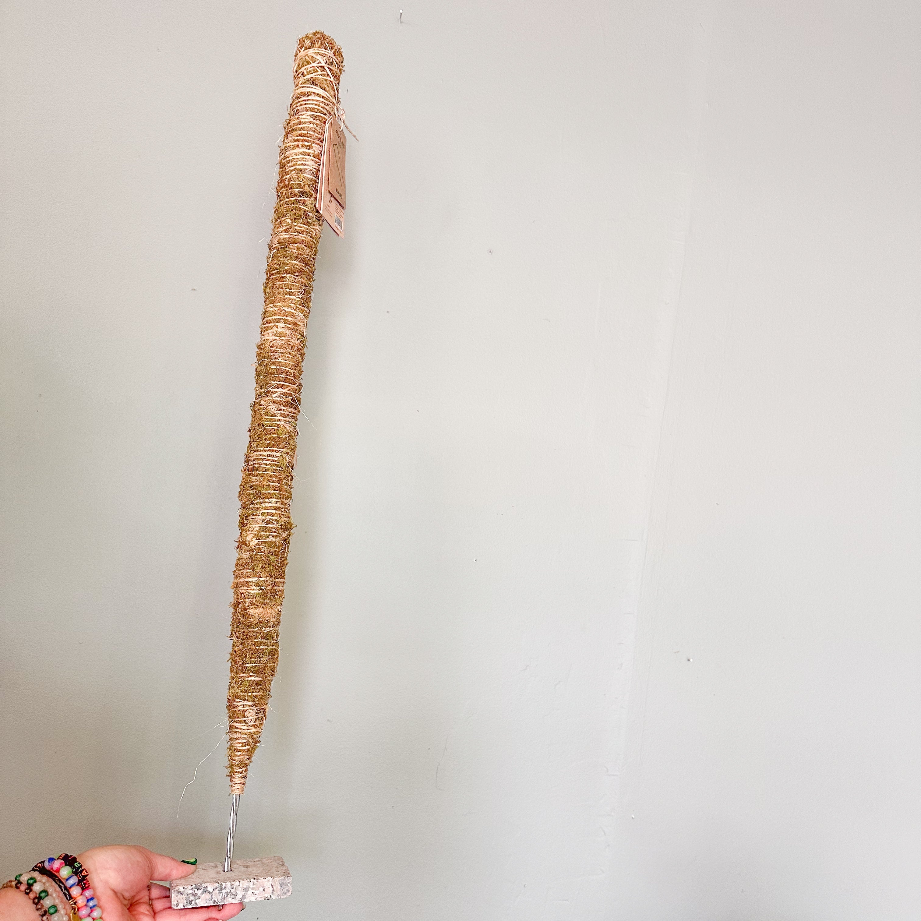 bendable mossify coir plant pole shop now at flower + furbish