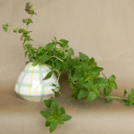 bertie vase shop now at flower + furbish