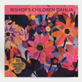 hudson valley bishop's children dahlia seeds