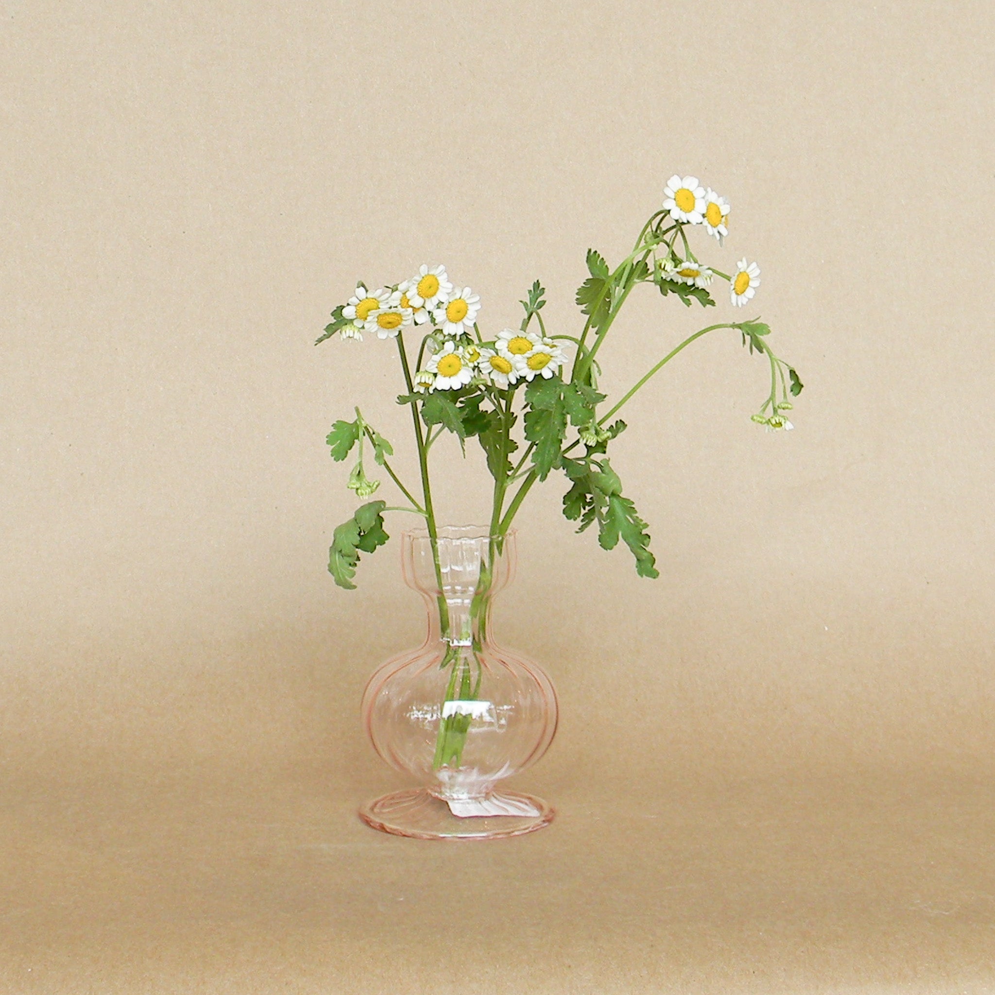 boutique budvase shop now at flower + furbish
