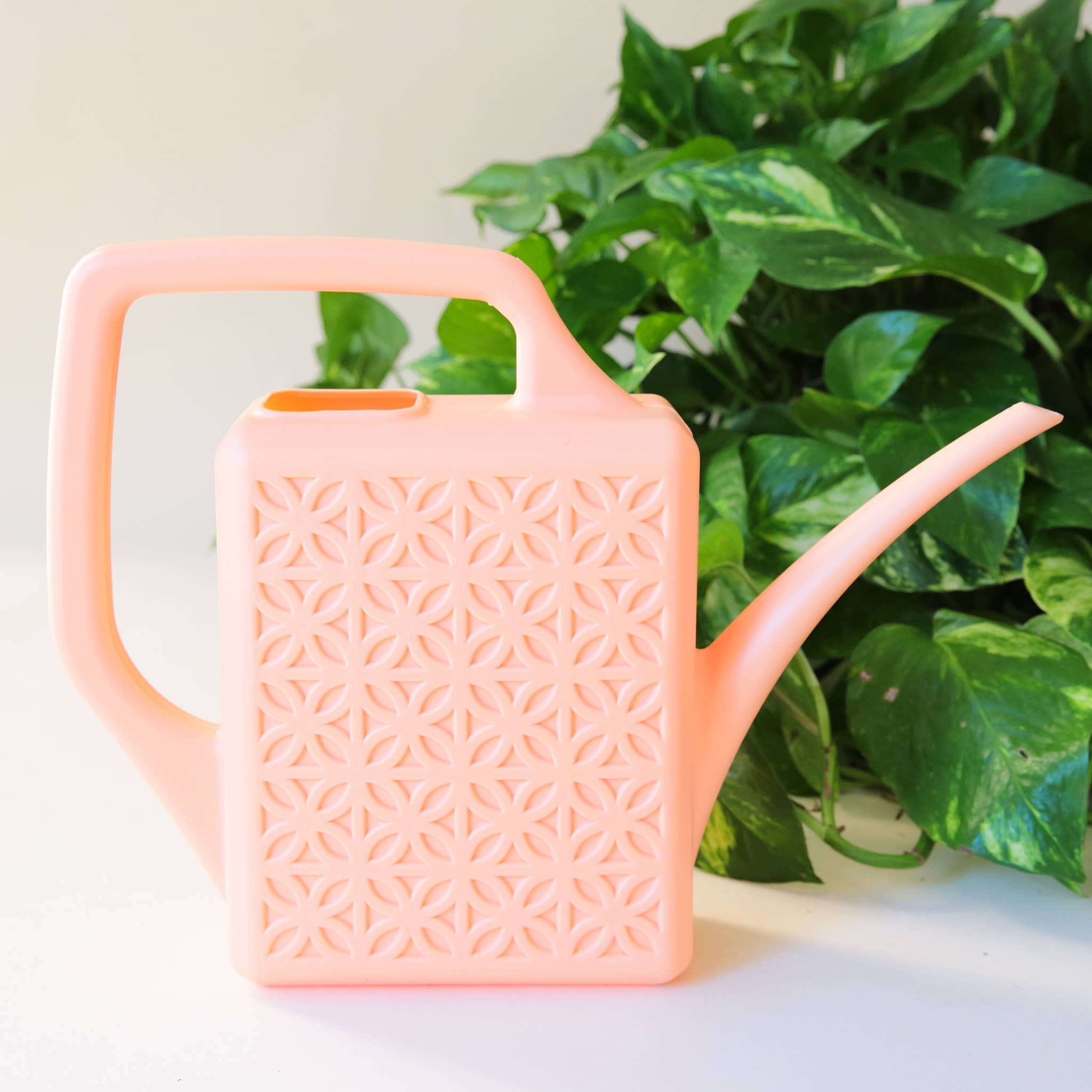 breeze block watering can shop now at flower + furbish