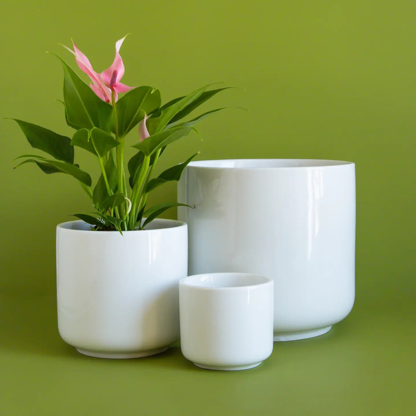 charlie planter shop now at flower + furbish